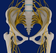 Chris Hoedt, MD - Orthopaedic Surgeon - Hip & Knee Reconstruction Specialist - Publications